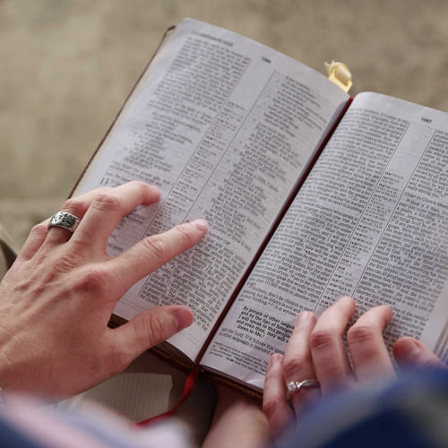 Doctrinas